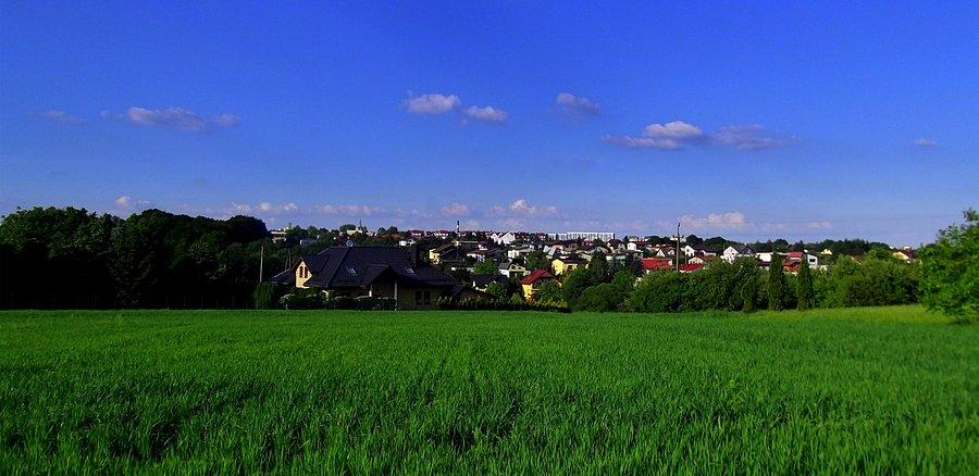Tam gdzieś jest mój domek. Wodzisław z Jedłownika
