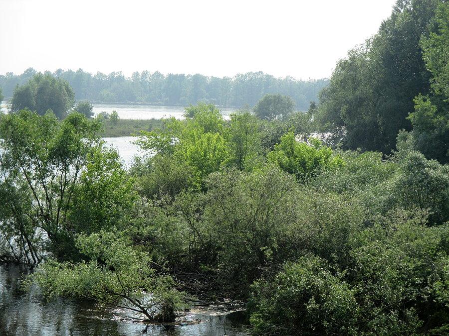 Wisła koło Dęblina