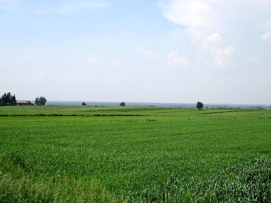 Lubelszczyzna w pełnej krasie