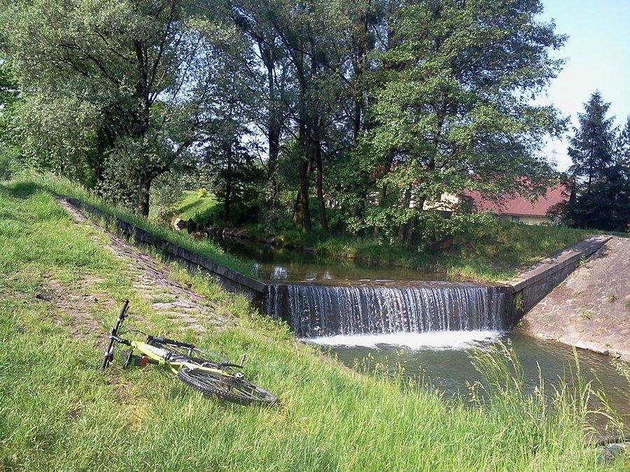Rzeczka Ropica