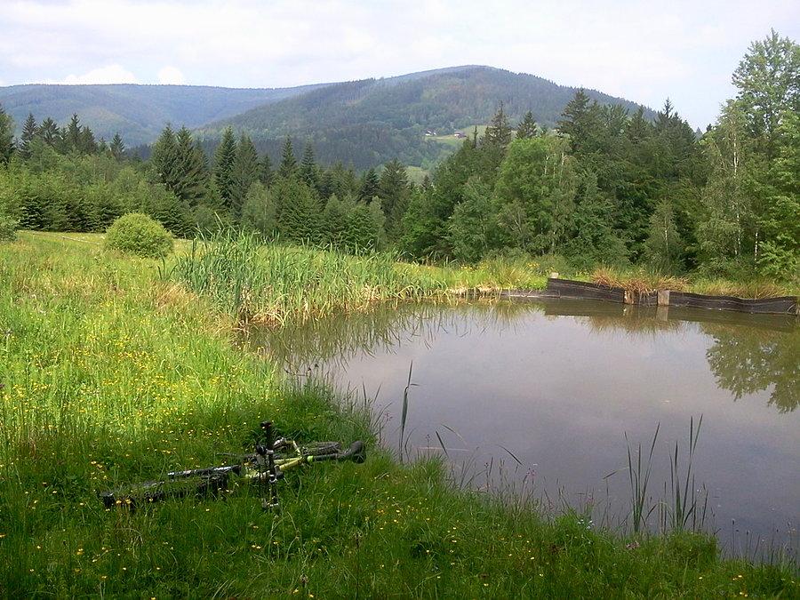 Stawek po drodze