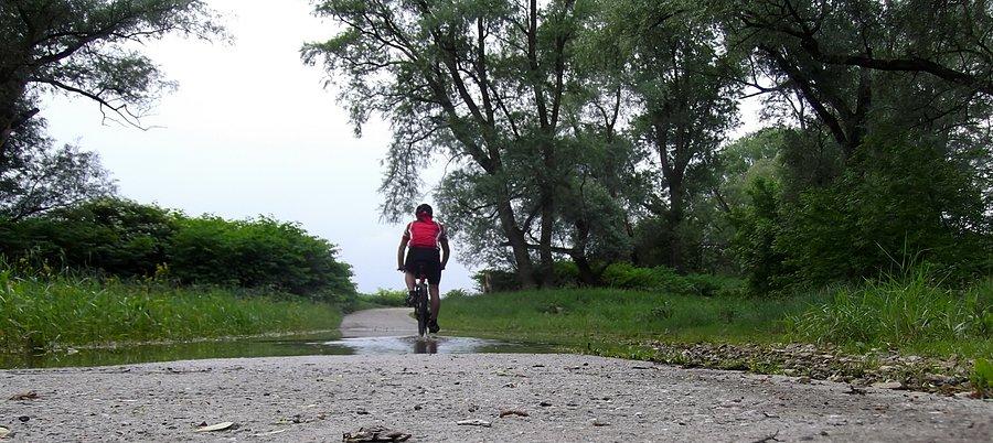 Przeszkoda na ścieżce rowerowej, Meandry Odry. Tu zawsze po deszczu jest zalane