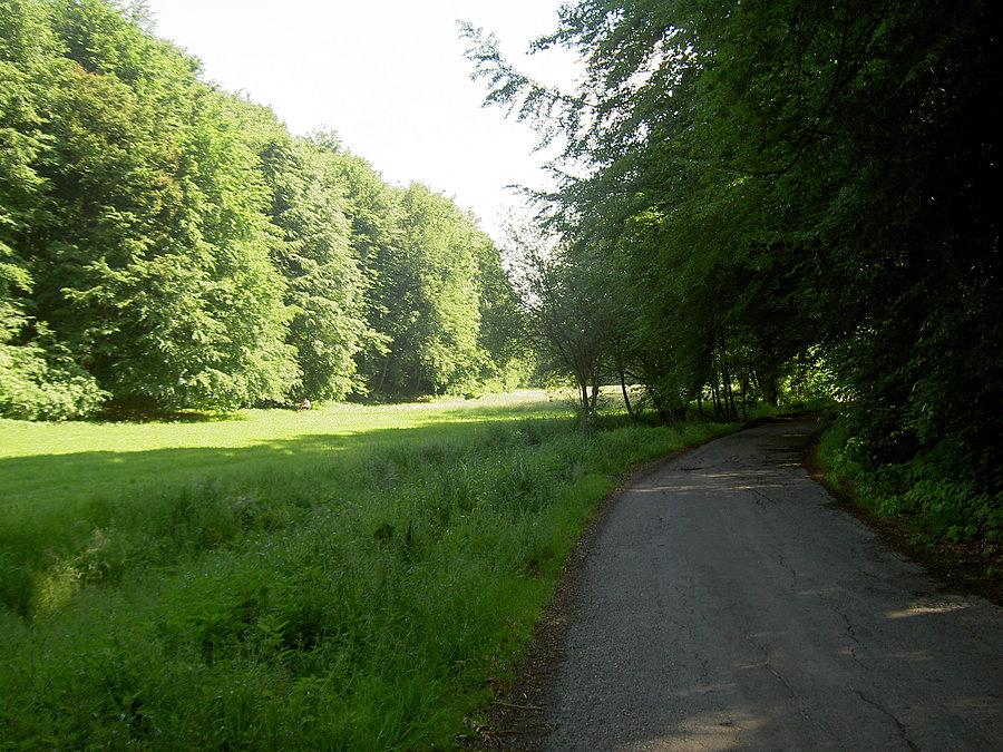 Okolice Czarnocina - Śląskiej Szwajcarii
