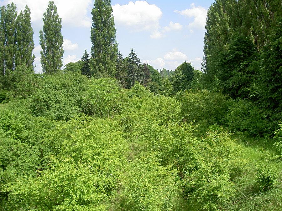 Linia kolejowa Strzelce Opolskie - Zdzieszowice, była linia jak to w polsce