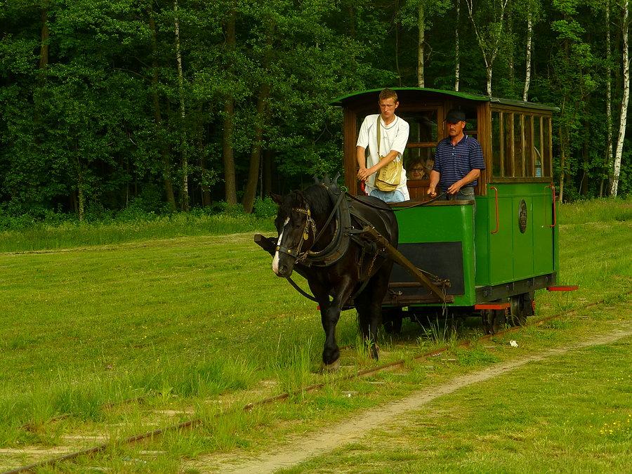 Kursujący w latach 1902 - 1967 i reaktywowany w 2011 r. tramwaj konny w Mrozach