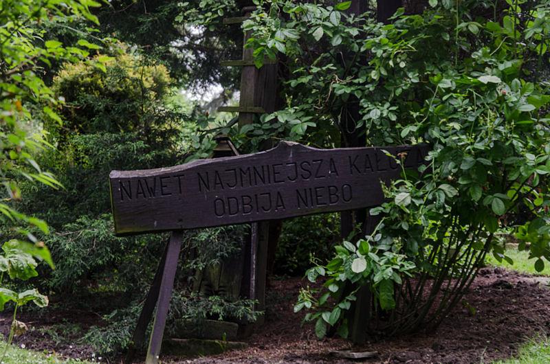 Nawet najmniejsza kałuża odbija niebo