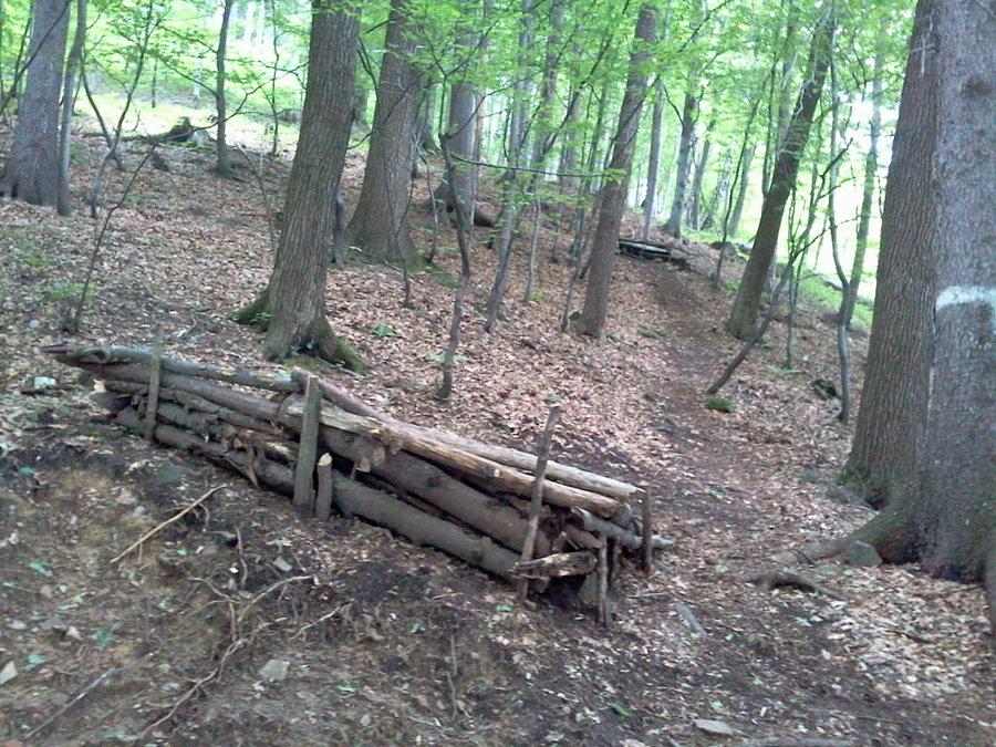 Traska na Skalicy