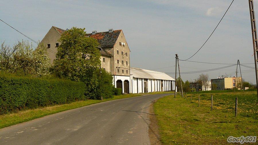 W Lesie, w Księżym Lesie