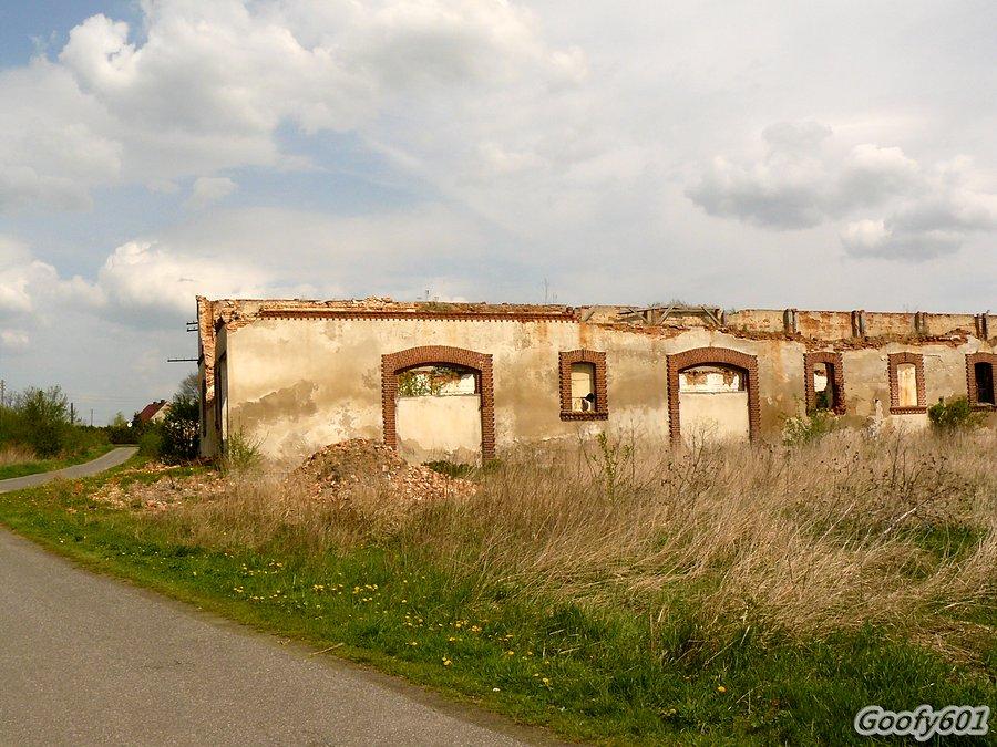 Pniów - ruiny gospodarstwa