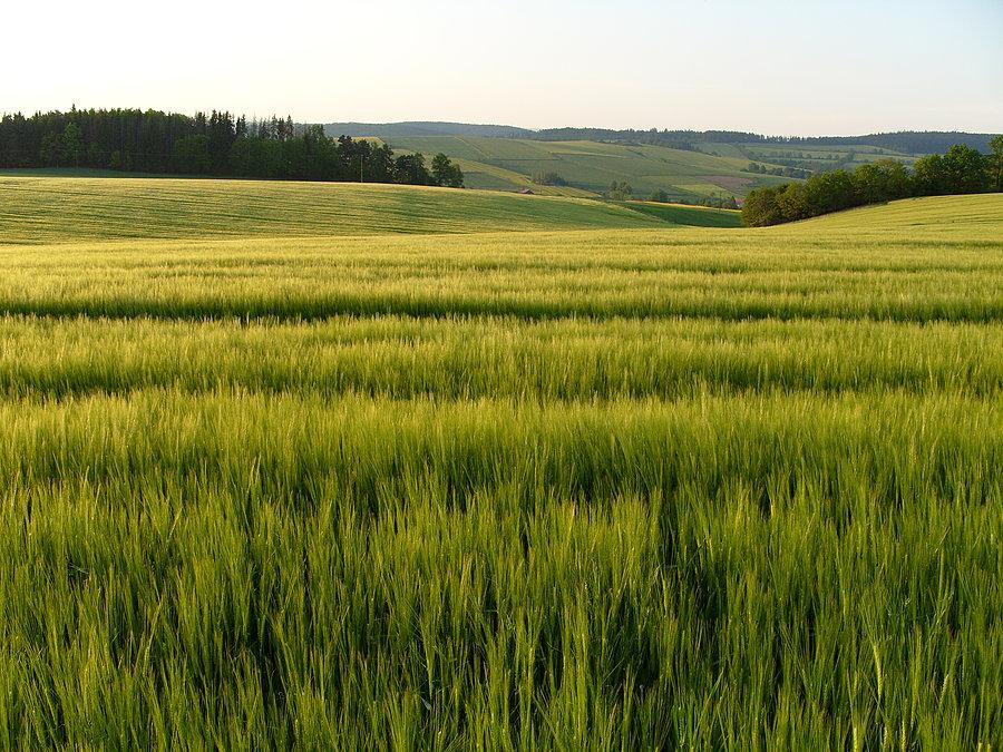 Po jeszcze bliższym poznaniu się ;) wracamy przez Amerikę do Radkowa gdzie kończy się nasza ochrona, pary przyjezdnych i po czułym pożegnaniu i podzieleniu zebranych podatków i wrażeń ruszamy do Kłodzka