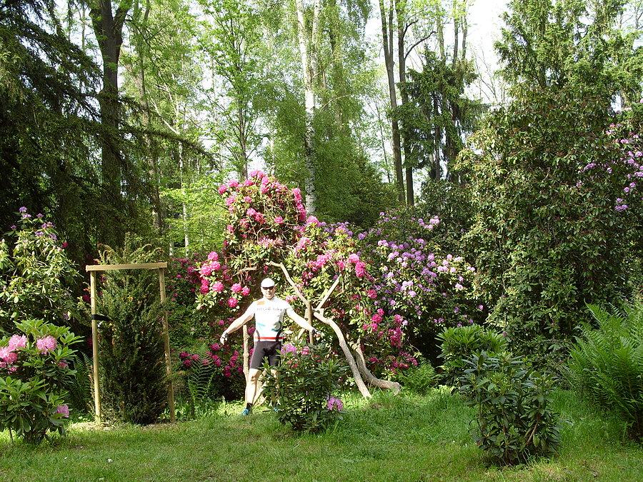 Co do kwiatów ( chyba Azalie ) tak kwitną już pięknie, tak że kto lubi te piękne klimaty, czas jest odpowiedni na odwiedzenie