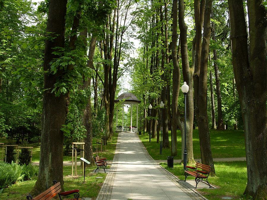 Alejka do źródełka gdzie woda smaczna płynie