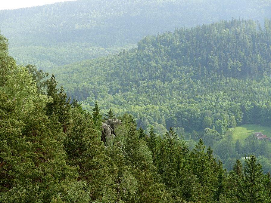 Widok z tarasu widokowego ze Szczytnika. Tam zaraz Feniks będzie dalej pomykał