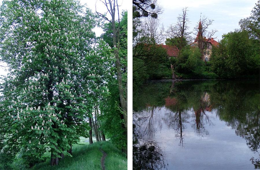 Nad Bystrzycą