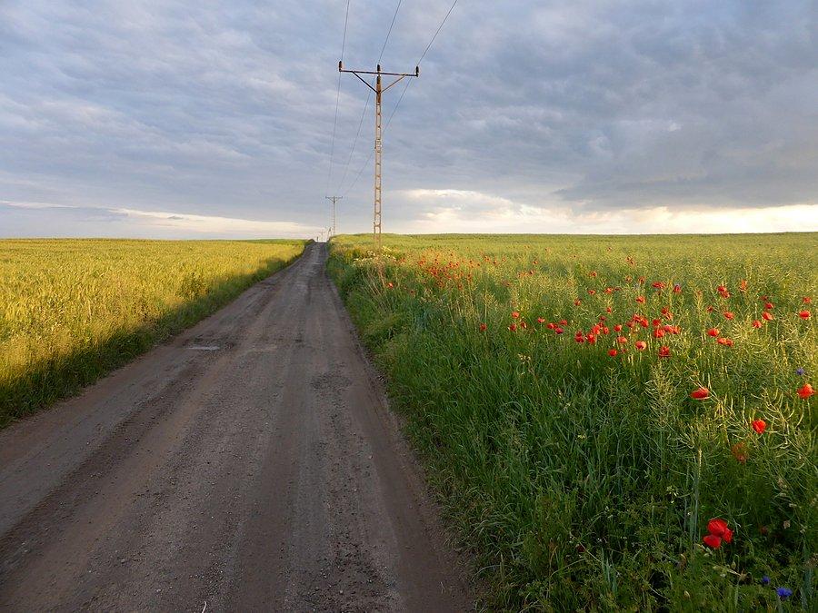 Tylko chmury nieco straszą