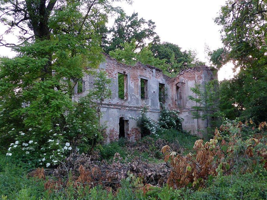 Jasiona