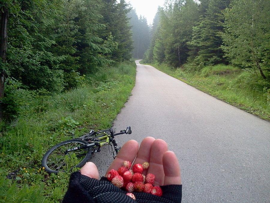 Poziomkowe śniadanie