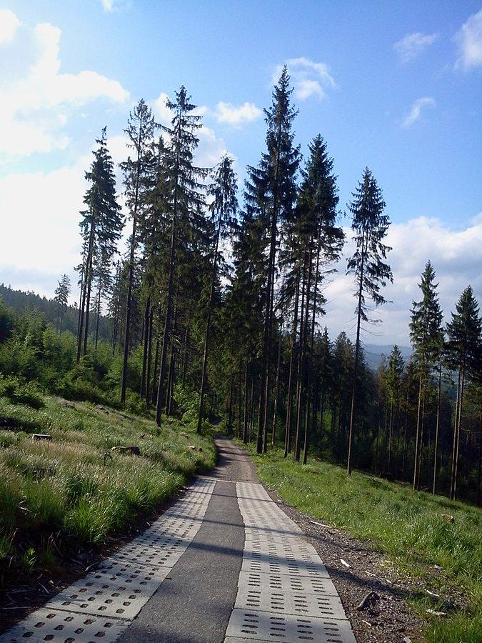 Podjazd z Połomu