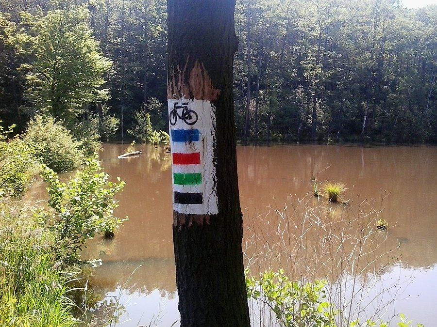 Szlaki rowerowa nad Balatonem