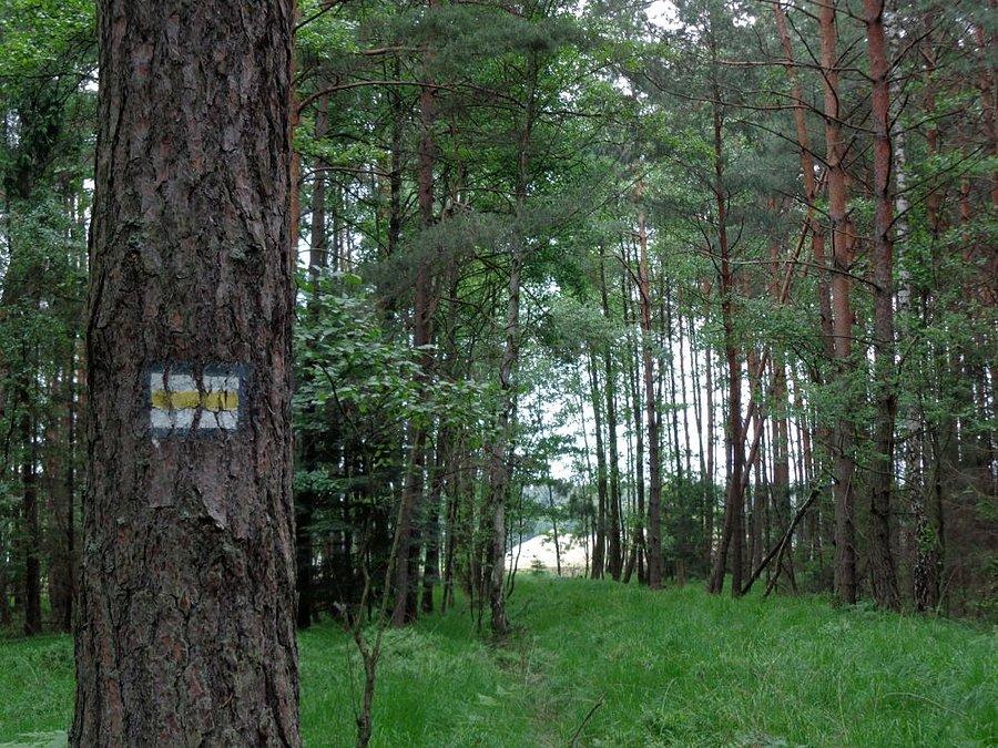 Dojeżdżam do prywatnej kopalni
