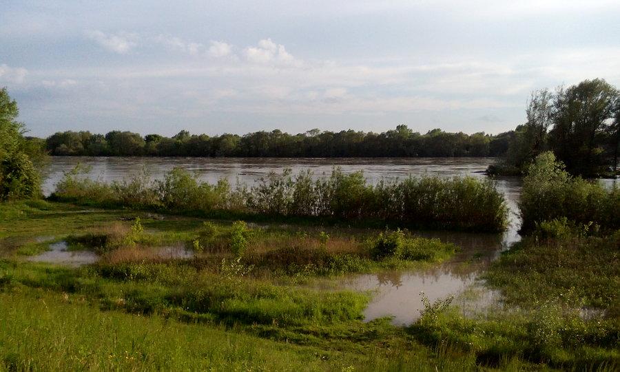 Wisła przybrała