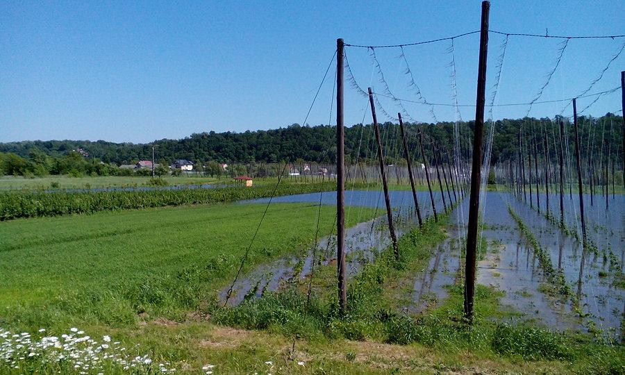 Podmoikłe pola w Parchatce