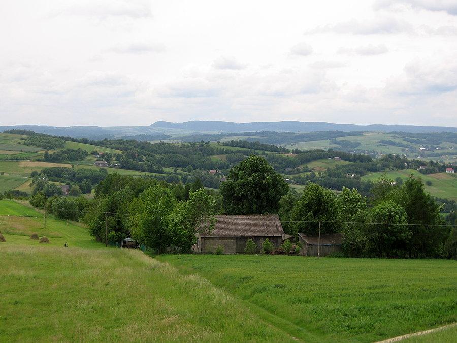 Góra Chełm
