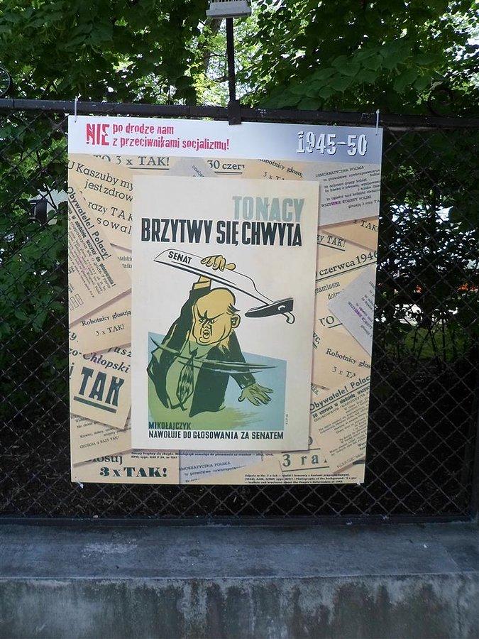 Mikołajczyk nawołuje do głosowania za Senatem