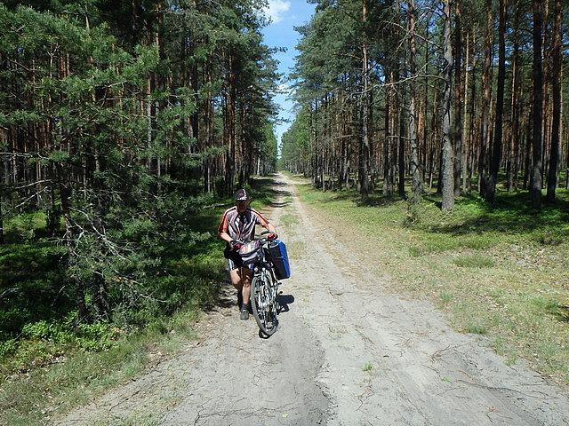 Jarek na piaszczystej ścieżce leśnej w kierunku Karsina