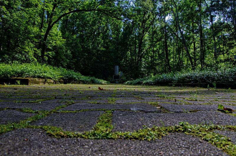 Cmentarz żołnierzy radzieckich