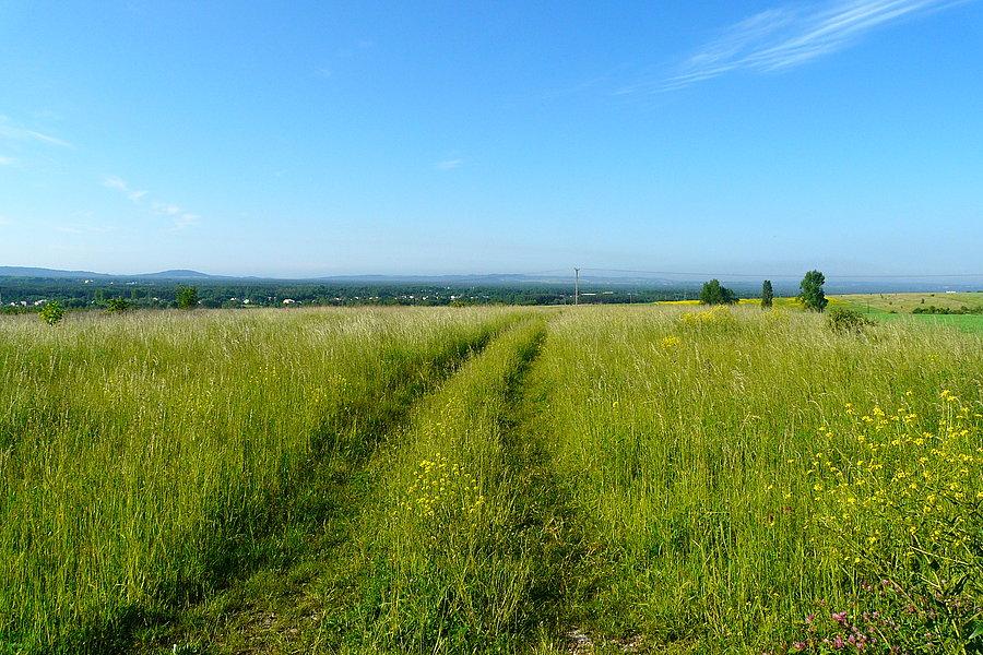 Okolice Kromołowa
