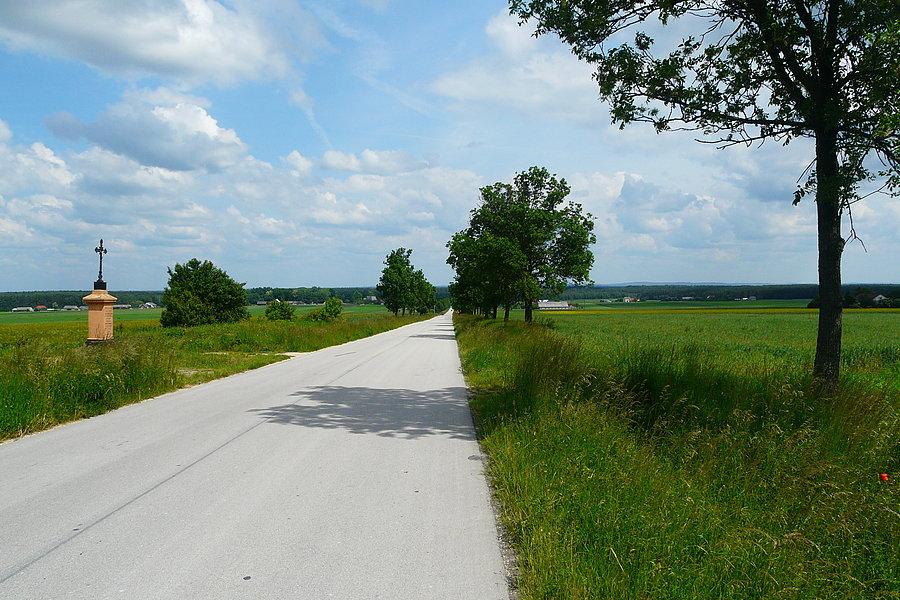 Oklice Nagłowic