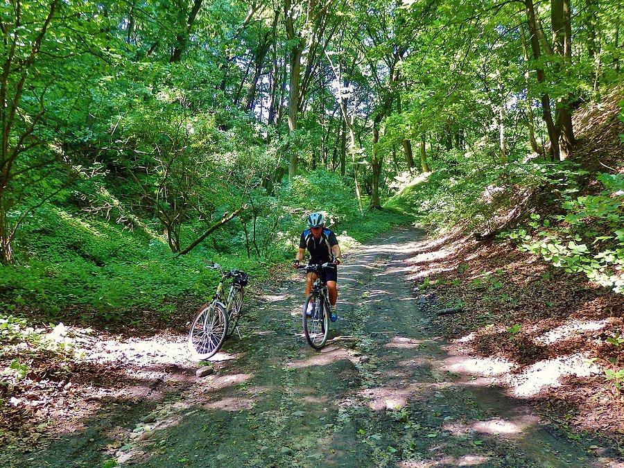 Na Szlaku Kopernikowskim.Rezerwat przyrody "Parów Węgry" (2,8 km)