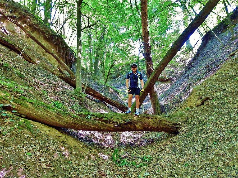 Na Szlaku Kopernikowskim.Rezerwat przyrody "Parów Węgry" (2,8 km)