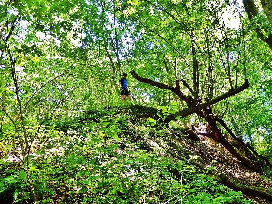 Na Szlaku Kopernikowskim.Rezerwat przyrody "Parów Węgry" (2,8 km)