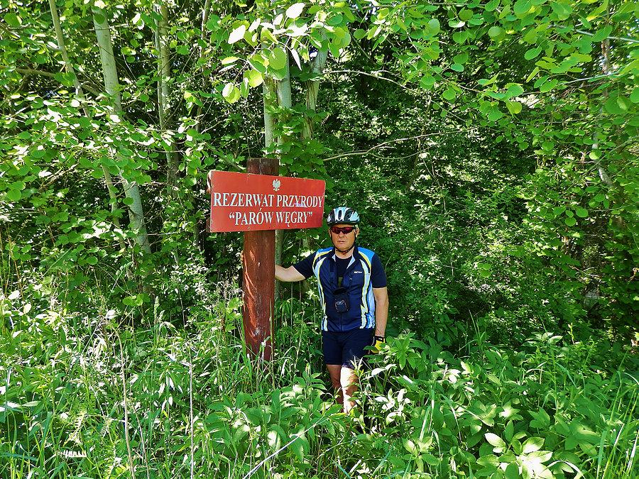 Na Szlaku Kopernikowskim.Rezerwat przyrody "Parów Węgry" (2,8 km)
