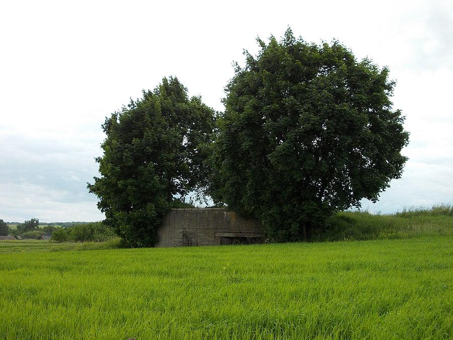 Gościeradów - Bunkier Regelbau 514 wybudowany w 1942 roku do ochrony drogi i przeprawy przez Wisłę przed całkiem silnie tu działającą partyzantką