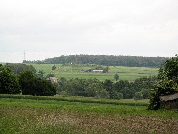 Widok na pola koło Strzyżewic