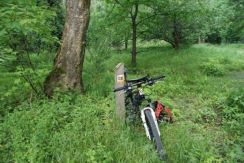 Punkt Kontrolny 2 - przy dawnej leśniczówce - tylko po leśniczówce ślad zaginął