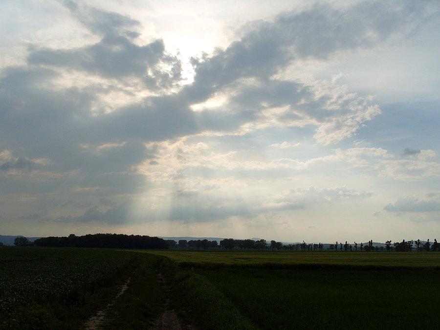 Przed obiadem, czyli złapać parę much na obiad