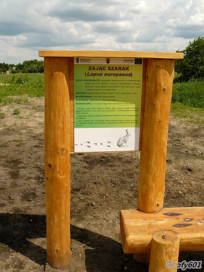 O zajączku słów kilka