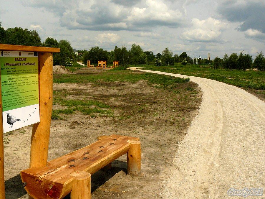 Park nad Bytomką