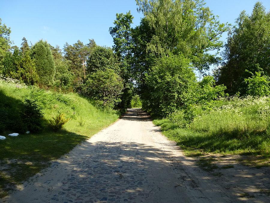 Bruk i piaszczysty szlak w Płaszczycy pomogły w decyzji o rezygnacji skrótu terenowego w kierunku Cłuchowa