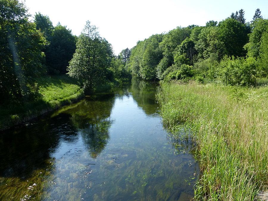 Brda w Płaszczycy