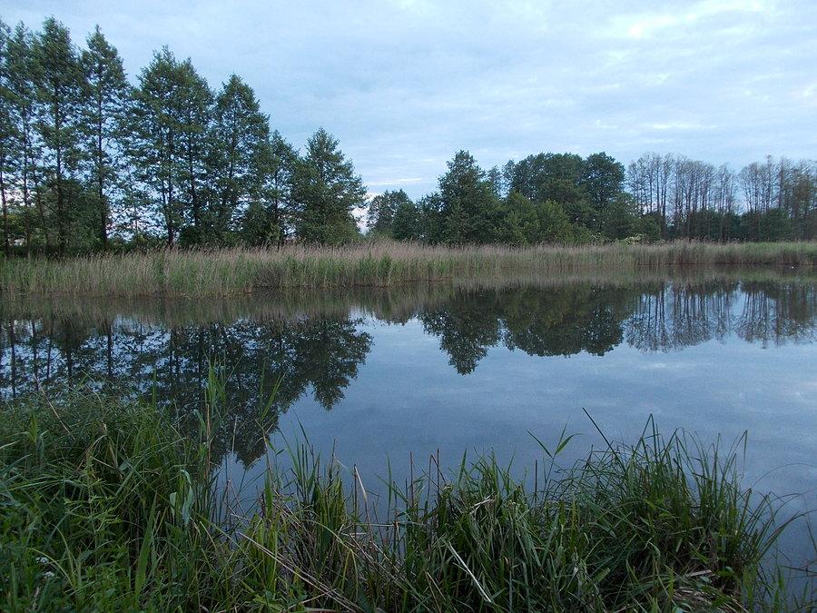 Stawy na Górkach