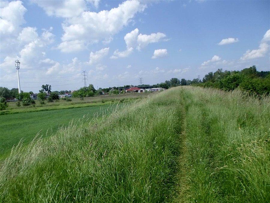 Łomianki-wał p/powodziowy