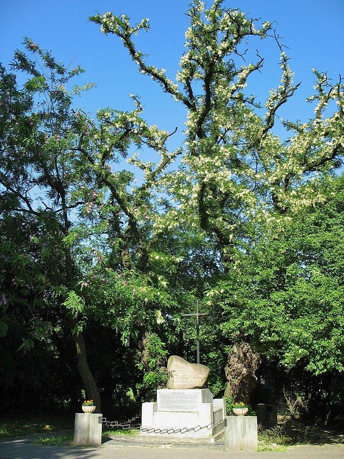 Reduta Ordona 1831 r