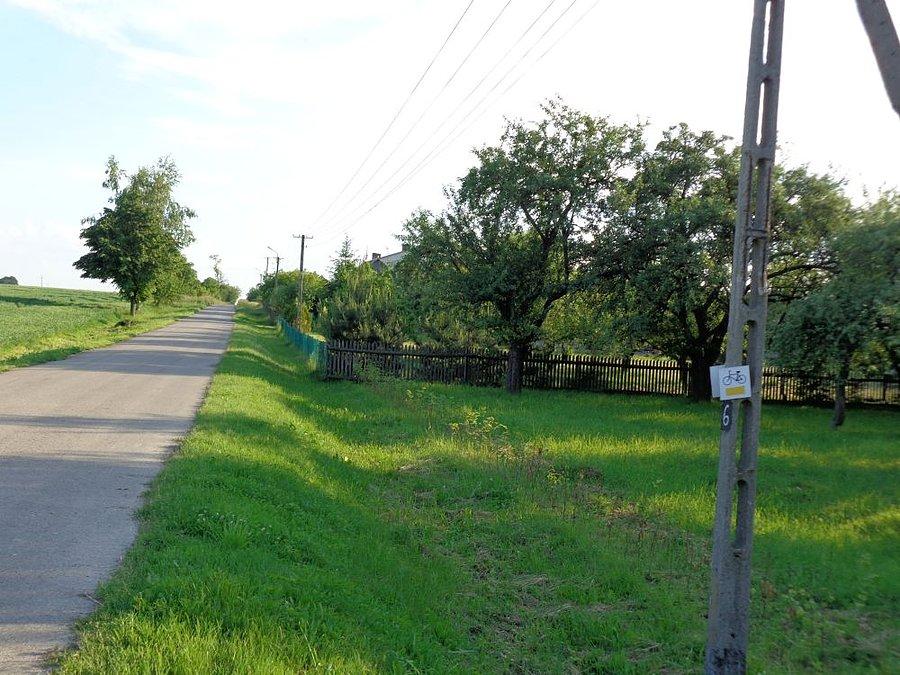Żółty rowerowy