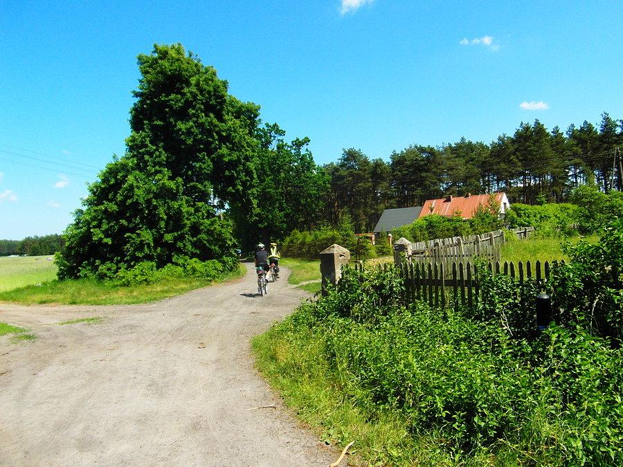 Na Szlaku Kopernikowskim