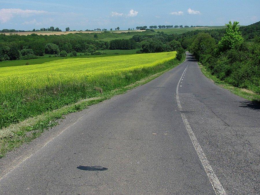 Czy wiecie, że.. to moje pierwsze tegoroczne zdjęcie z rzepakiem? ;)